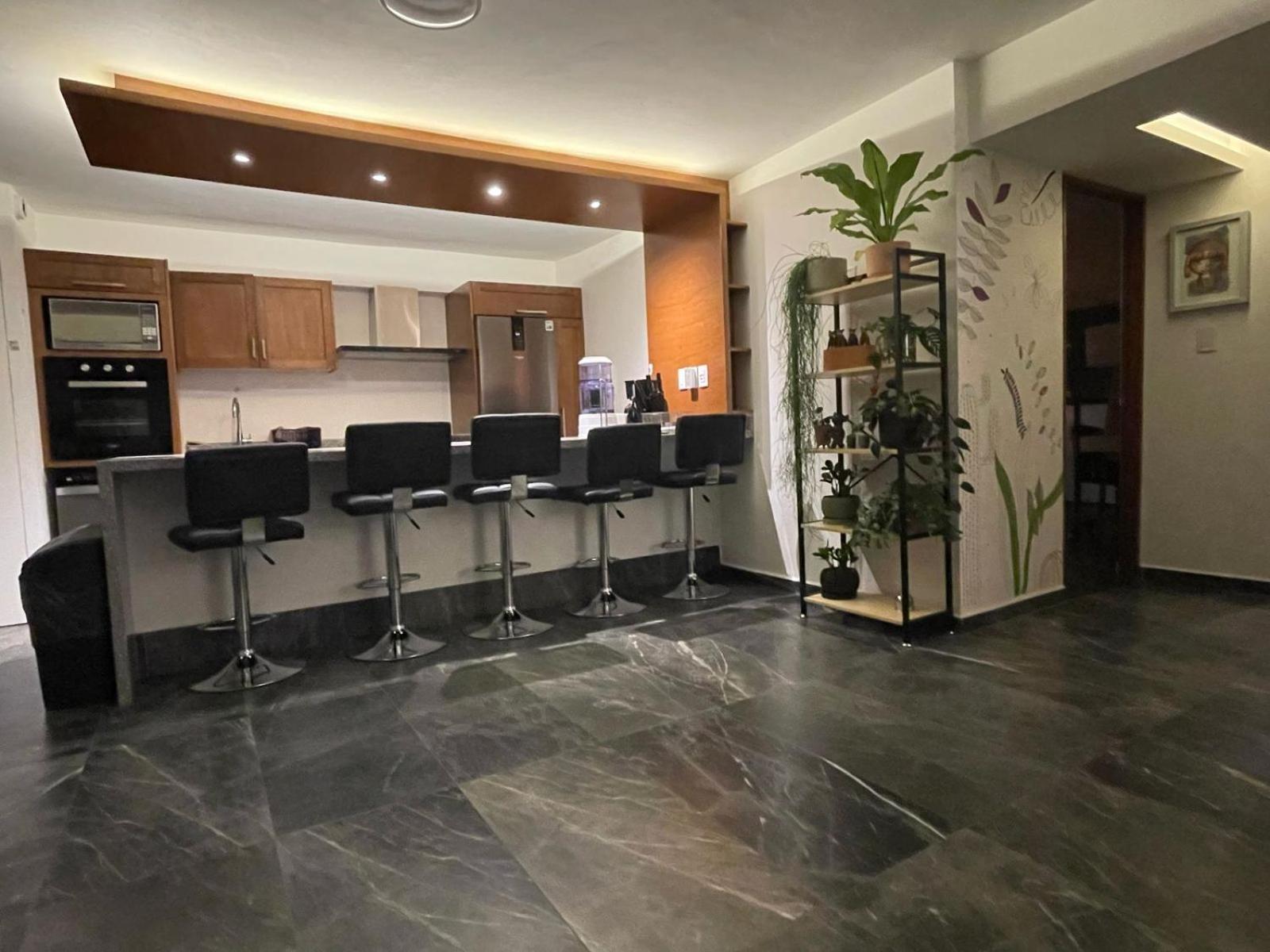 Great Apartment In The Heart Of Coyoacan Mexiko-Stadt Exterior foto